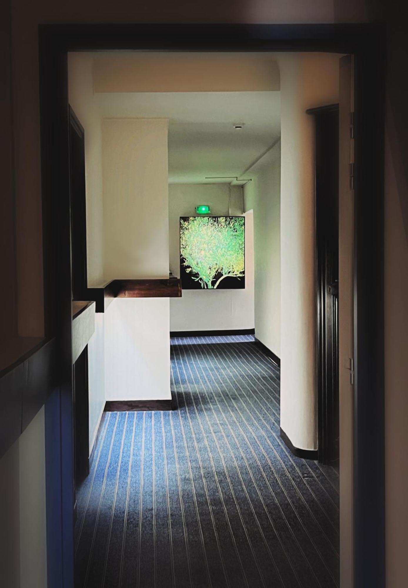 Hotel De France - Restaurant L'Insolite ดูอาร์เนอนี ภายนอก รูปภาพ